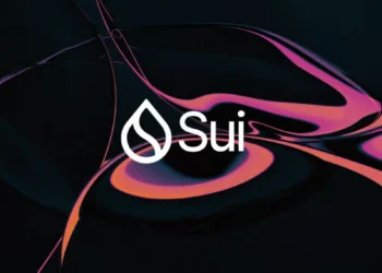 SUI Confidental Transfers szerepe a stabilcoin piacon