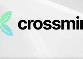 Paga és Crossmint közös stabilcoin projekt